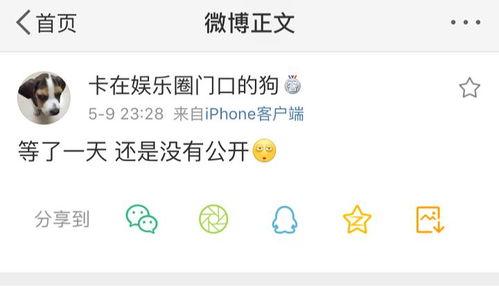 爆料还是曝料 朝阳吃瓜网,揭秘朝阳热点事件背后的真相